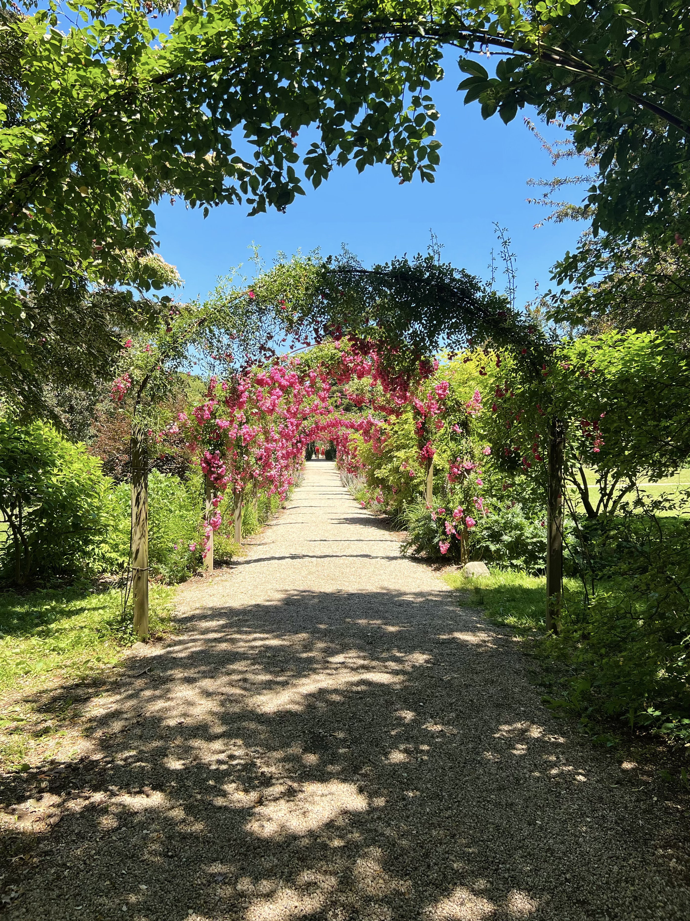 Planting Fields Arboretum